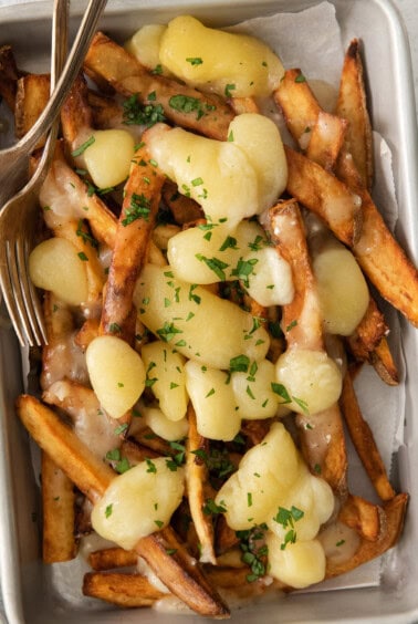 a plate of french fries topped with cheese and parmesan.