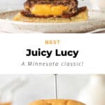 Juicy lucy burger.