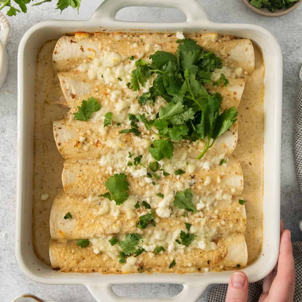Cream Cheese Chicken Enchiladas - The Cheese Knees