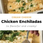 cheesy chicken enchiladas in a baking dish.