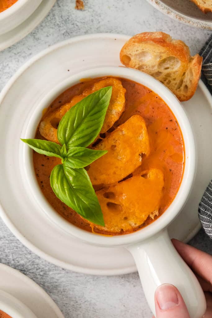 a person holding a bowl of tomato soup.