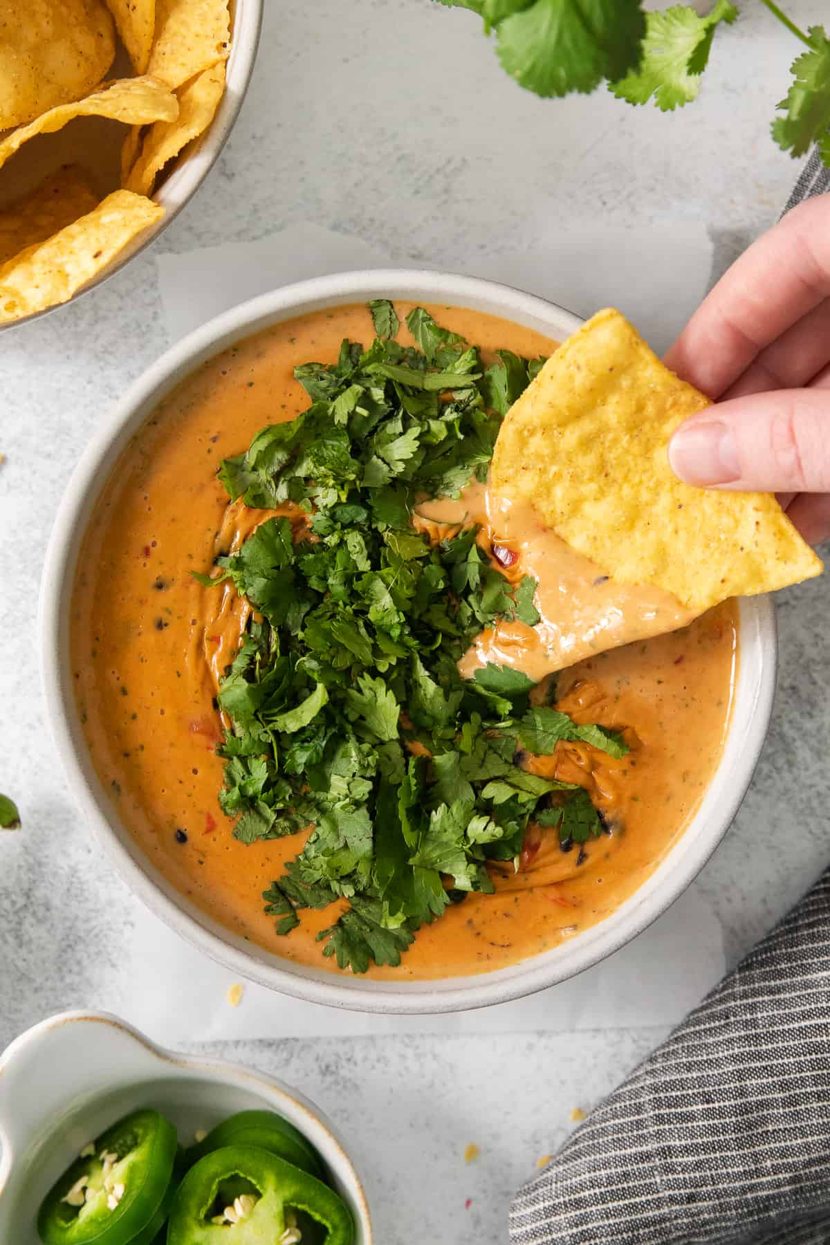 Spicy Velveeta Queso - The Cheese Knees