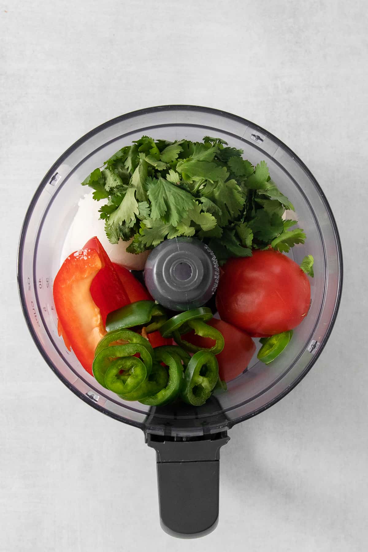 a blender filled with lots of fresh vegetables.