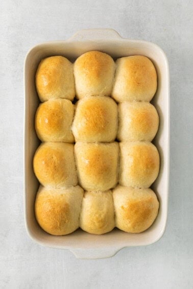 bread rolls in a baking dish on a white background.
