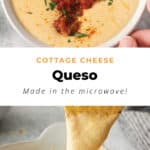 A bowl of cheese queso is being dipped into a bowl.