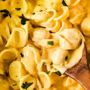 A wooden spoon is in a bowl of pasta.