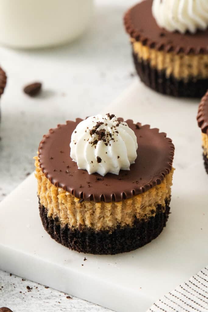 Chocolate peanut butter cheesecakes on a white plate.