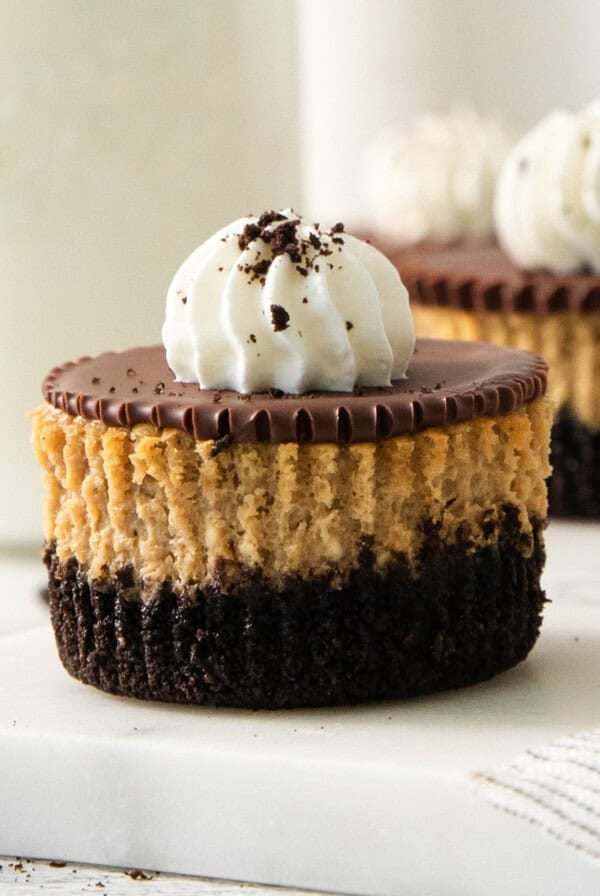 Espresso cheesecake cups with Oreo cookie crust, chocolate ganache, and whipped cream on a marble serving board.