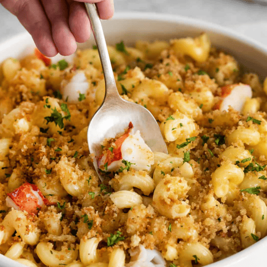 A delectable combination of lobster and creamy macaroni and cheese, served in a elegant white bowl.