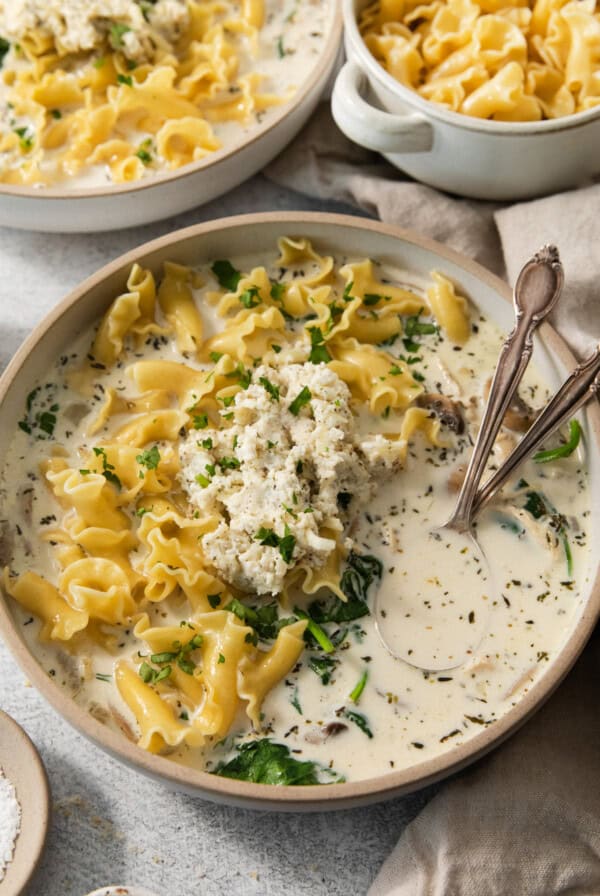 A bowl of soup with noodles and cheese.