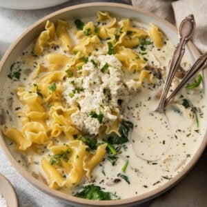 A bowl of pasta soup with spinach and cheese.