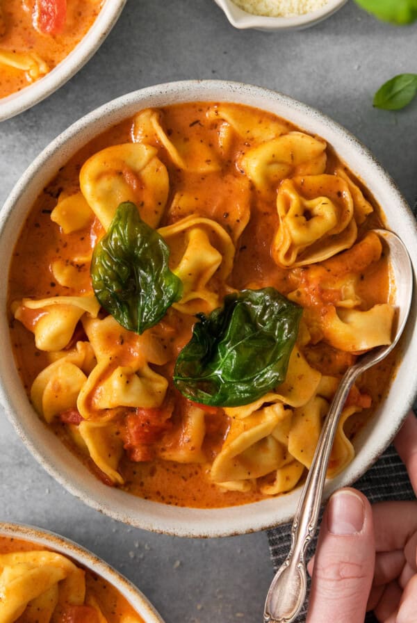 Bowl of creamy tomato basil pasta served with a spoon.