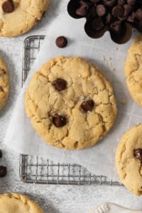 A cooling rack with freshly baked egg-free chocolate chip cookies, dotted with rich chocolate chips. There is a metal cup filled with more chocolate chips in the image.