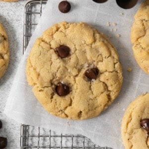 A cooling rack with freshly baked egg-free chocolate chip cookies, dotted with rich chocolate chips. There is a metal cup filled with more chocolate chips in the image.